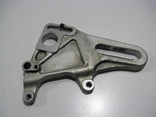 Rear brake anchor plate - rear,