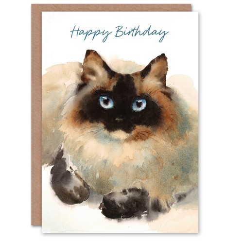 Happy birthday cute ragdoll - birthday,