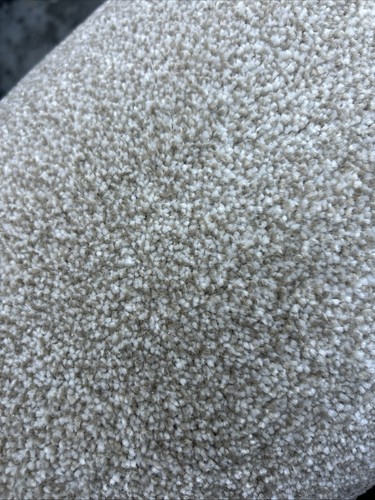 Soft beige cream carpet - 14,