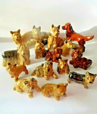 Wade  - DOGS & PUPPIES  -