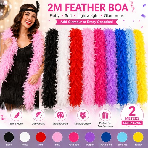 Feather boa costume - feather,