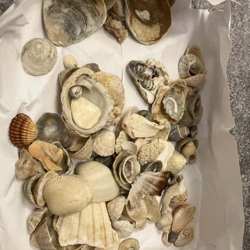 Mixed assorted natural - mixed,