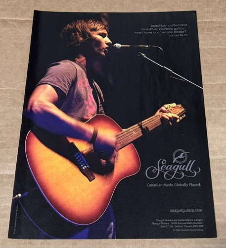 James blunt seagull guitars - james,