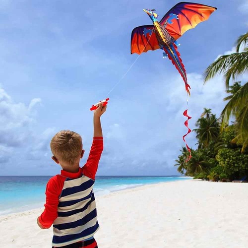 Dragon kite with long - 3d,