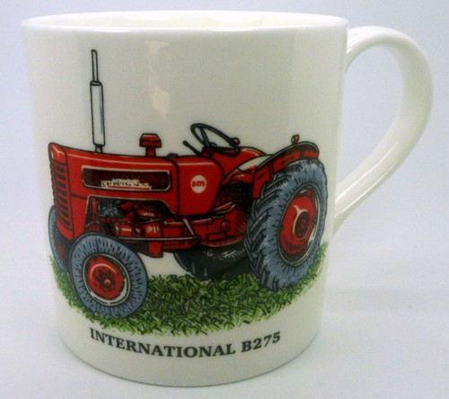 International bone - international(mccormick),