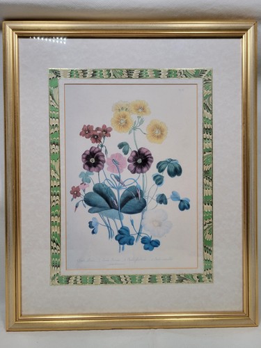 Botanical flowers print - print, framed