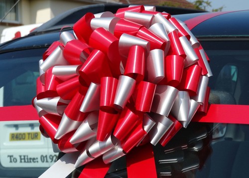 Giant bow for car - big, large