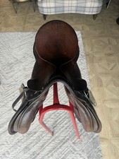 Stubben 17.5 Brown NW Jumping