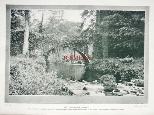 Saw mill bridge borris - saw, bridge,