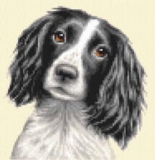 Black/White SPRINGER SPANIEL dog, pup Full counted cross stitch kit Jann Designs