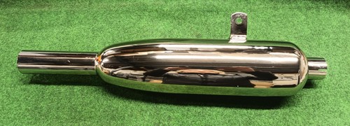 Silencer triumph tiger - tiger, cub
