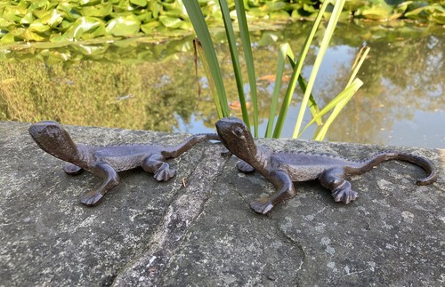 Pair metal gecko - gecko, /