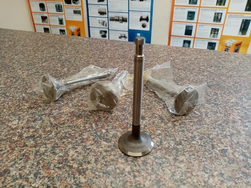 Bmc diesel inlet valve - bmc,