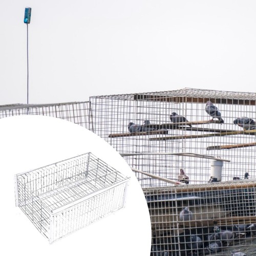 Pigeon trap cage escaping - trap,