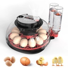 Automatic Digital 12 Eggs Incubator Chicken Poultry Hatcher Temperature Control