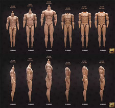 23Toys Muscular Male Action Figure Body BD001-6 for 12" Hot Toy Phicen Head 1/6