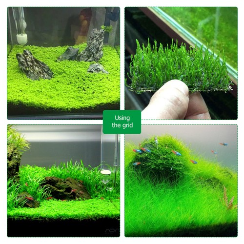 Moss pads aquarium mesh - pads,