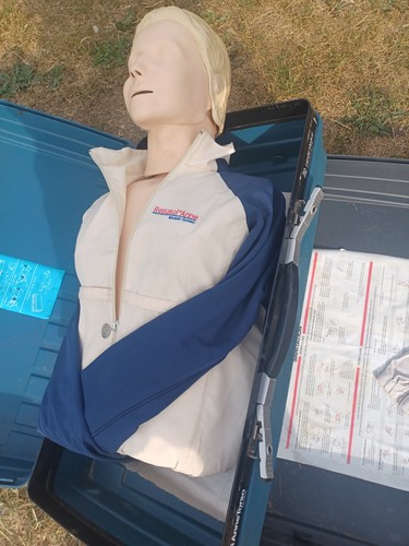 Resusci anne torso cpr - torso,