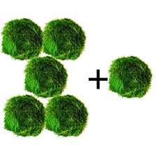 Marimo Moss Balls 1-3cm 5 + FREE! Safe Aquatics Aquarium Java Tropical Plant