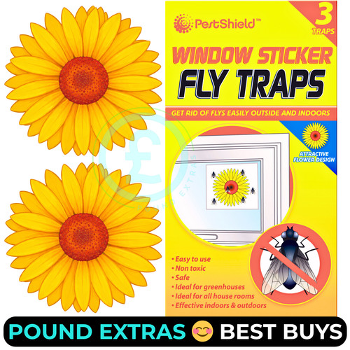 Fly catcher window flower - fly,