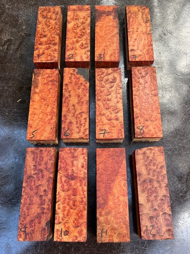 Camphor burl knife handle - camphor,