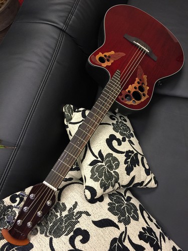 Ovation ce44 celebrity - ovation,