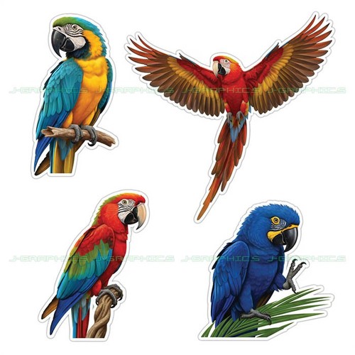 Macaw parrot bird vinyl - parrot,