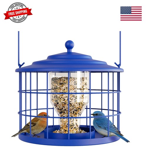 Metal bluebird feeder - bluebird,