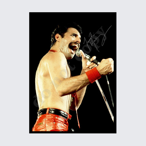Freddie mercury queen - freddie, signed