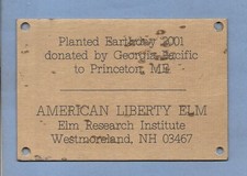 PRINCETON MAINE 2001 BRASS