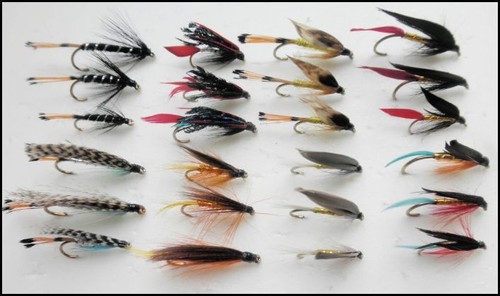 Sea trout fishing - sea,
