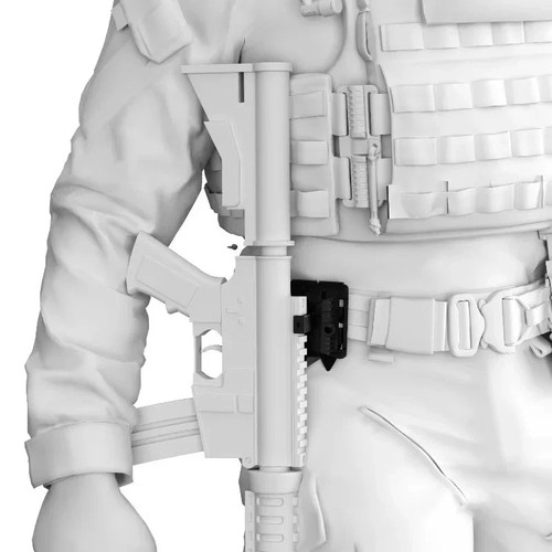 Tactical holster plate - tactical, ar