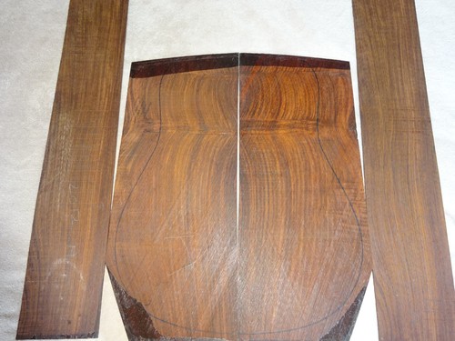 Old growth cocobolo acoustic - growth,