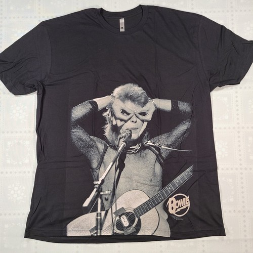David bowie ziggy - david,