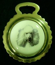 NEW DOG WHITE POODLE Ceramic