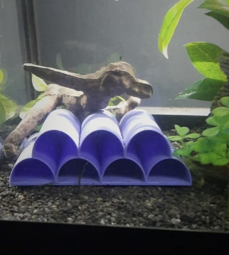 Printed pleco breeding - 3d,
