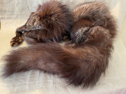 Vintage fox fur - vintage,