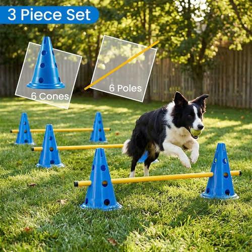 Dog agility equipment - agility, set