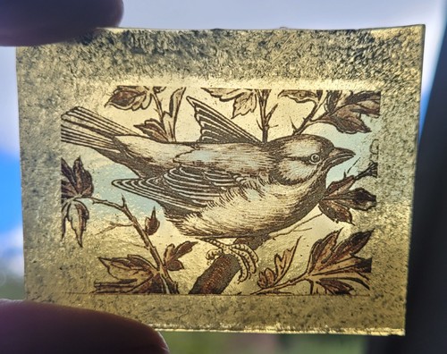 Stained glass bird amber - bird,
