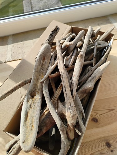 Driftwood pieces from - driftwood,