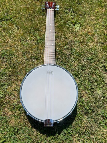 Banjolele ukelele with - with, remo