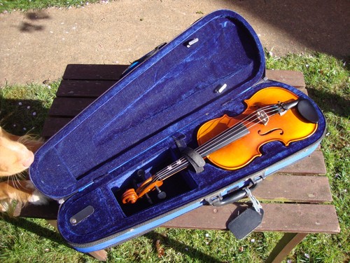 Intermusic violin case - violin,, in