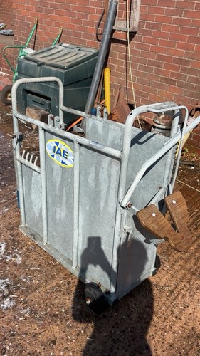 Iae calf crush farming cattle - iae,