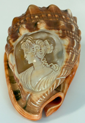Vintage shell carved bullmouth - vintage,