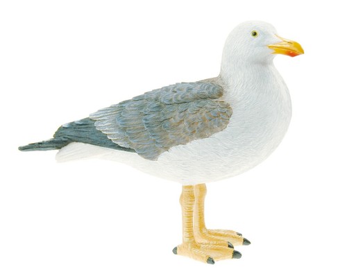 Standing seagull nautical - seagull,