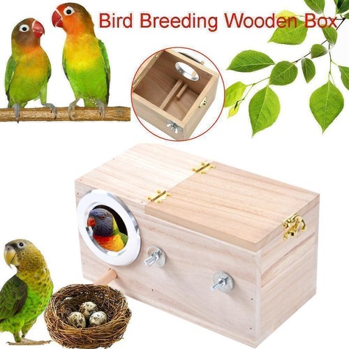 Bird breeding box cage - breeding,