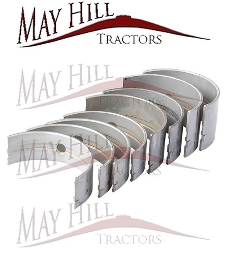 Main bearing set - main,