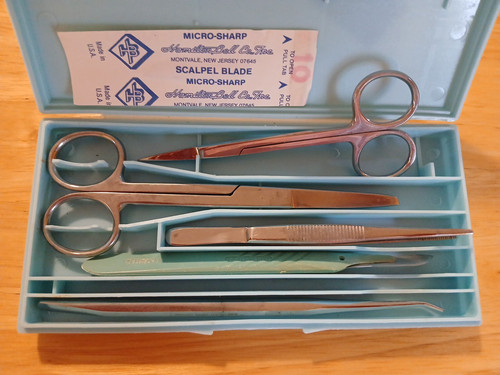 Vtg hamilton bell dissection - hamilton,