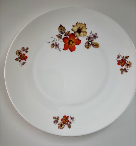Vintage arcopal autumn - arcopal, glory