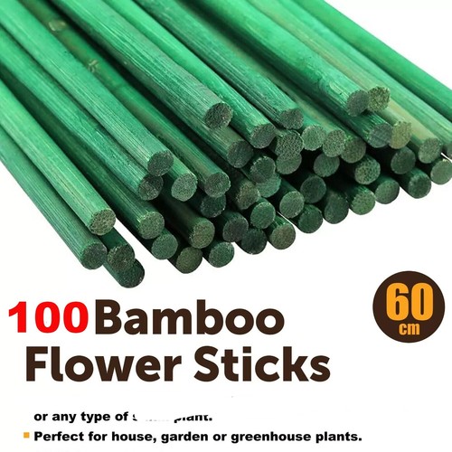 100x green bamboo flower - 100x,